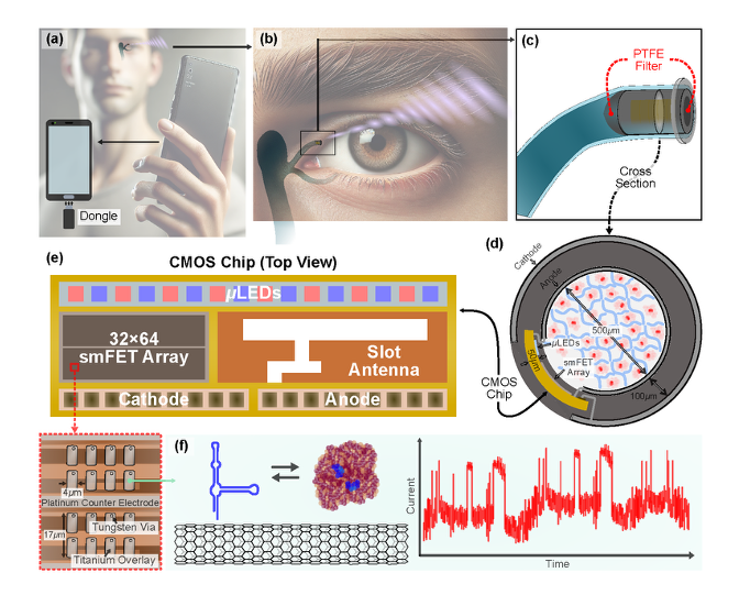 Energy Harvesting for Biomedical Applications – ARPA-H Grant with Harvard Medical School